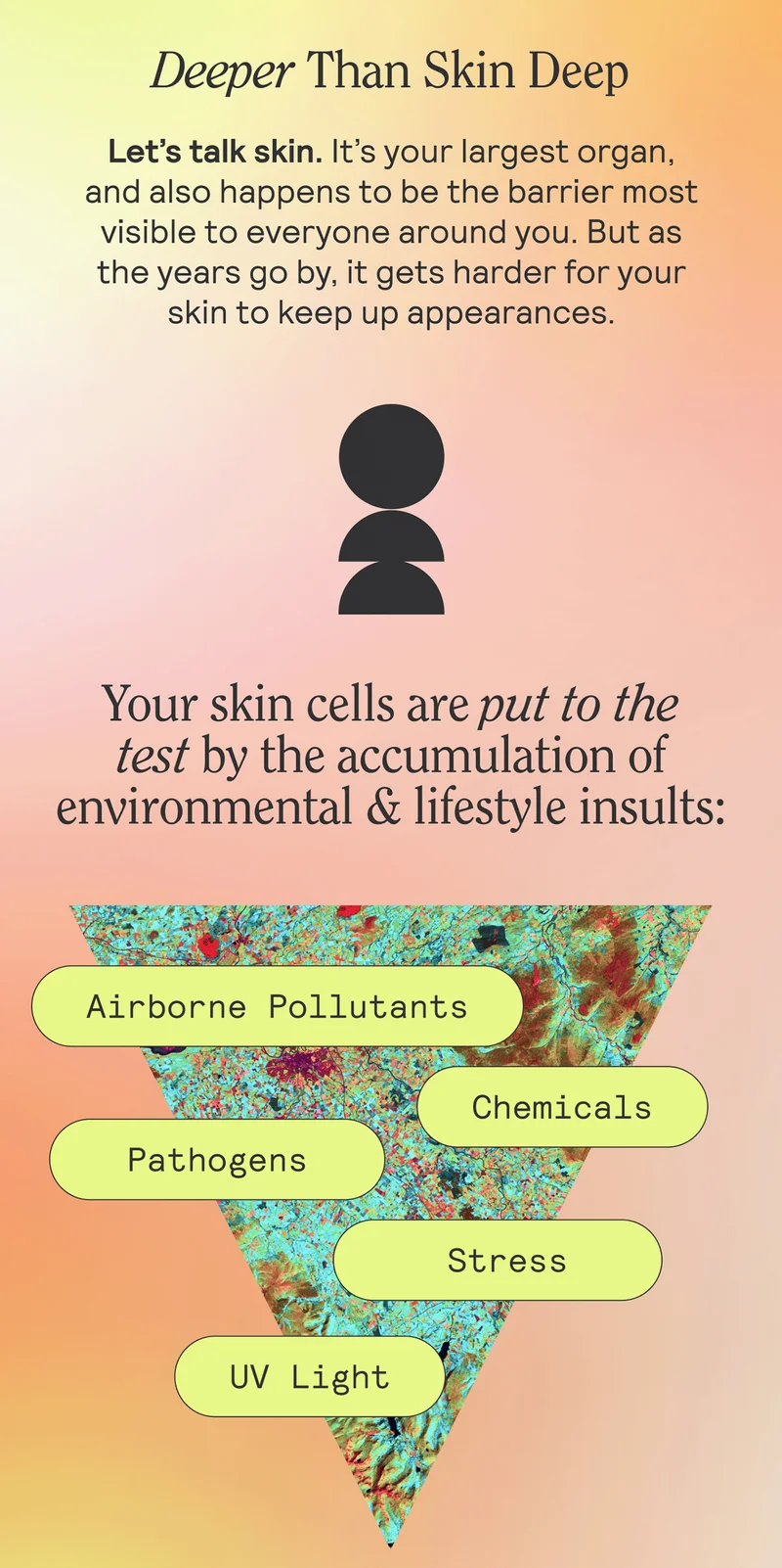 Deeper Than Skin Deep. Let’s talk skin. It’s your largest organ, and also happens to be the barrier most visible to everyone around you. But as the years go by, it gets harder for your skin to keep up appearances.  Your skin cells are put to the test by the accumulation of environmental insults:  Airborne Pollutants | Chemicals | Pathogens | UV Light  | Stress