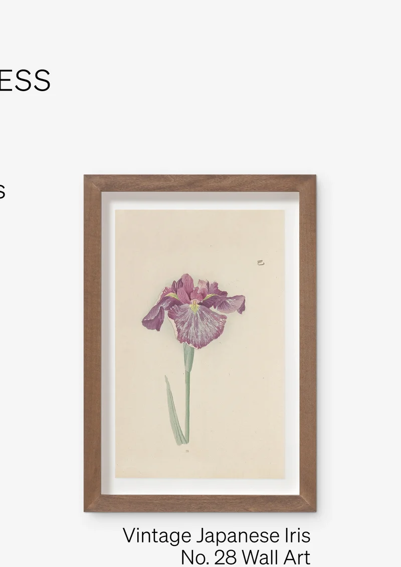 Shop Vintage Japanese Iris No. 28 Wall Art