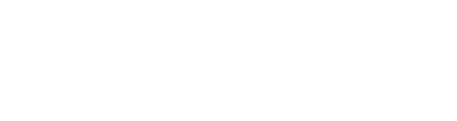 translator