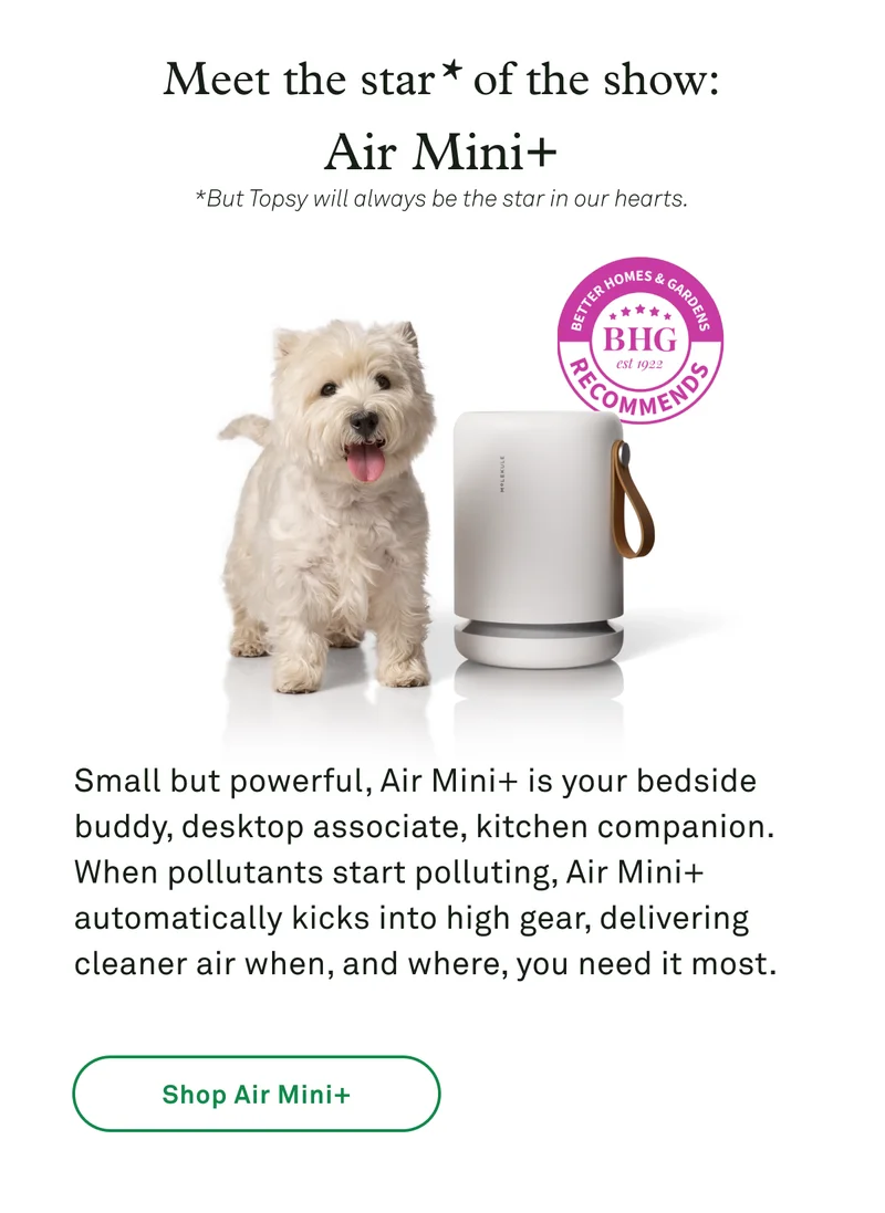 Air Mini+
