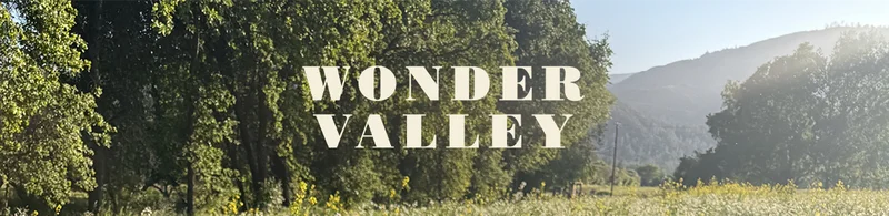 WONDER VALLEY