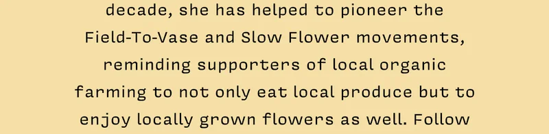 Hannah Muller is a farmer, florist, and author of Designing with Dried Flowers. Over the last decade, she has helped to pioneer the Field-To-Vase and Slow Flower movements, reminding supporters of local organic farming to not only eat local produce but to enjoy locally grown flowers as well. Follow her journey @wreathroom.