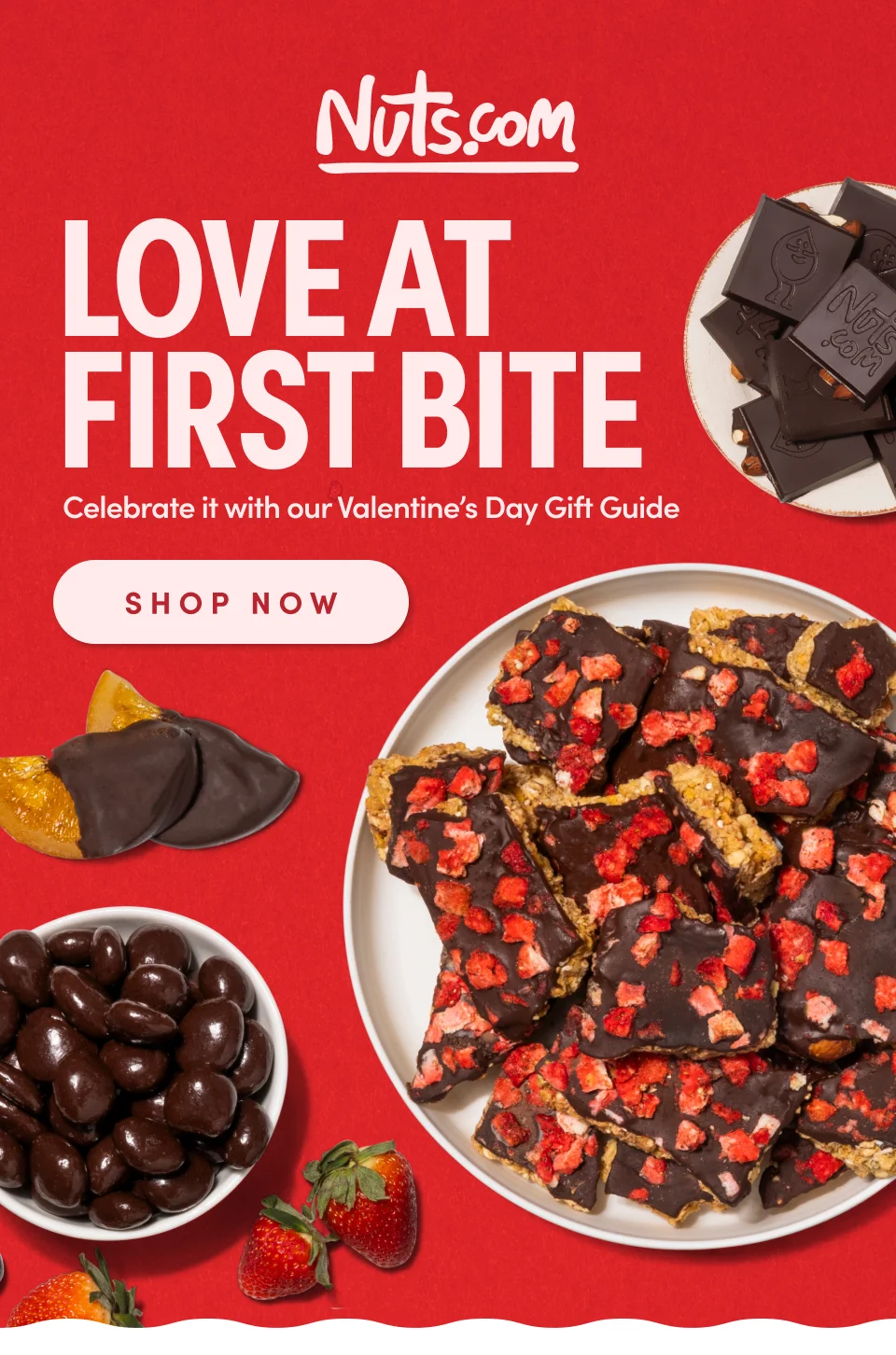 Nuts.com LOVE AT FIRST BITE; Celebrate it with our Valentine's Day Gift Guide Shop Now