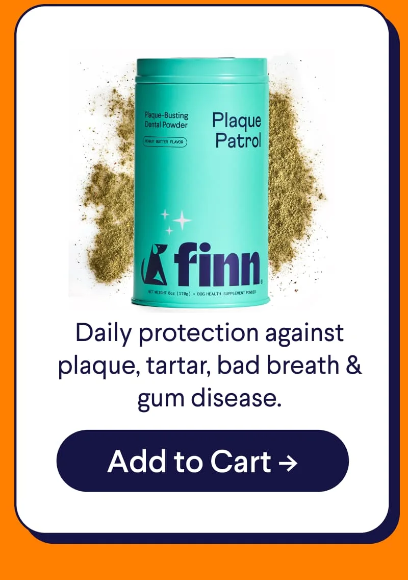 Plaque Patrol Powder: Daily protection against plaque, tartar, bad breath & gum disease.
