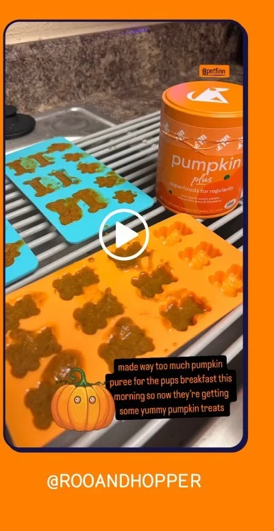 See Roo and Hoppers creations on Instagram