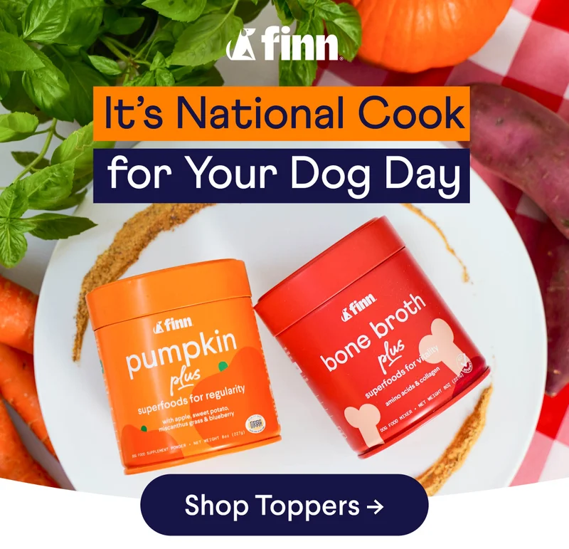 It's National Cook for Your Dog Day | Shop Toppers –>