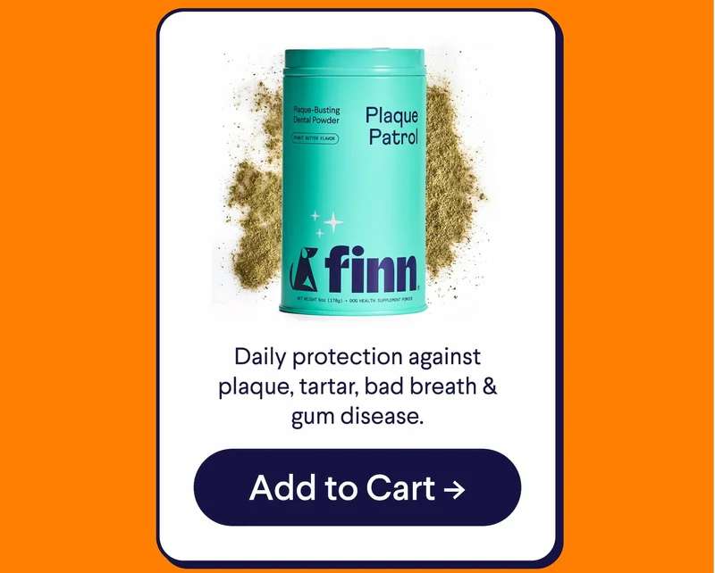 Plaque Patrol Powder: Daily protection against plaque, tartar, bad breath & gum disease.