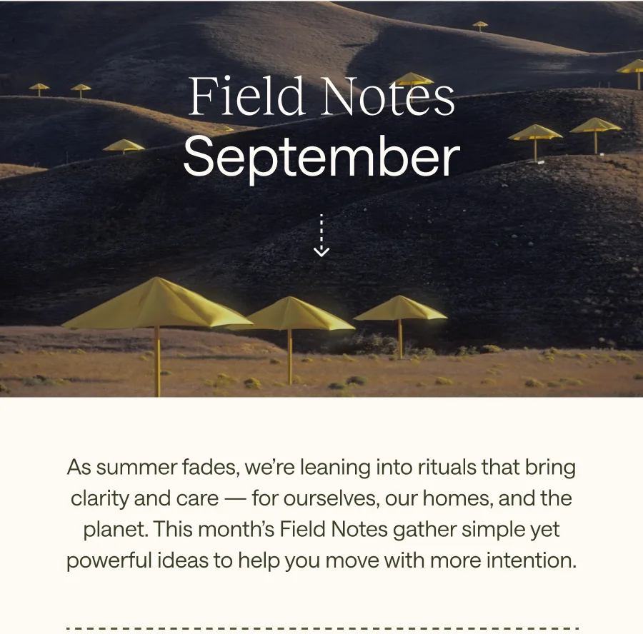 Field Notes: September