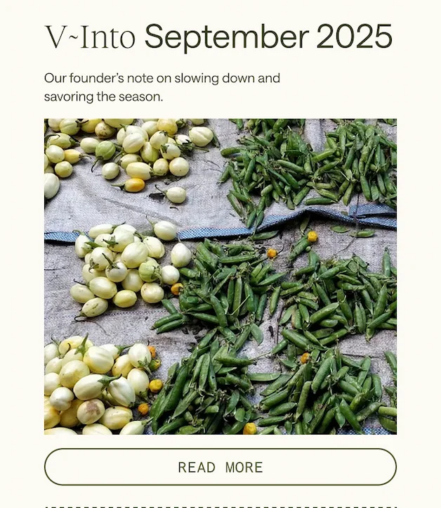 V~Into September 2025