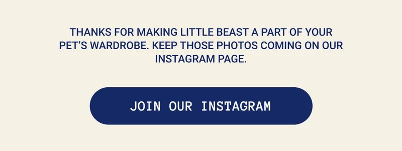Join Our Instagram
