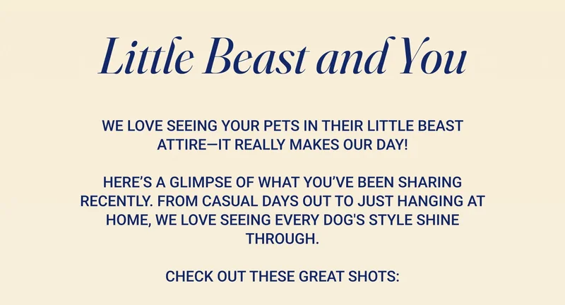 Little Beast and You