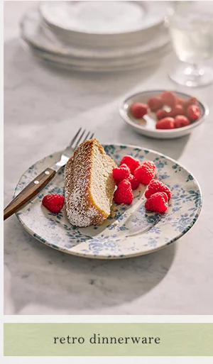 retro dinnerware