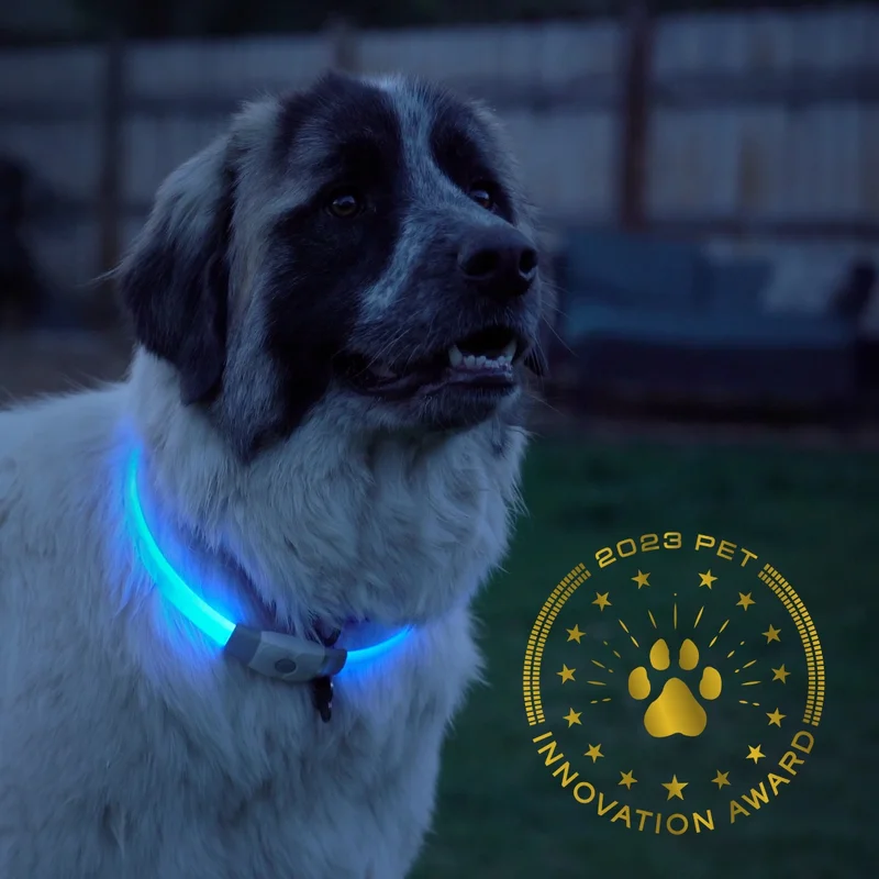 NiteHowl® Max Rechargeable LED Safety Necklace – Disc-O Select™