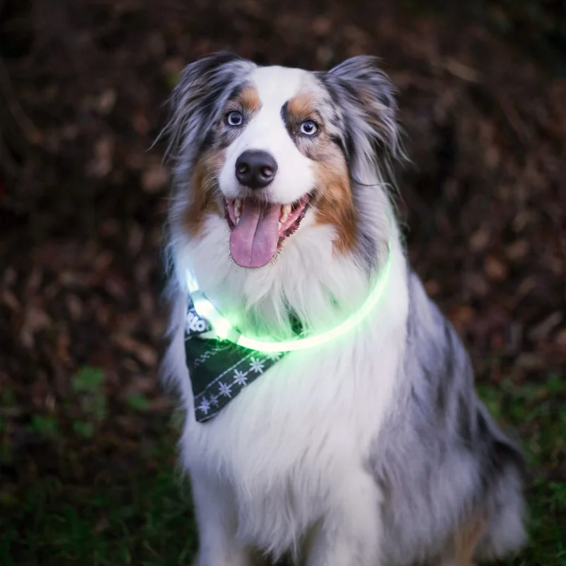 NiteHowl® Rechargeable LED Safety Necklace – Disc-O Select™