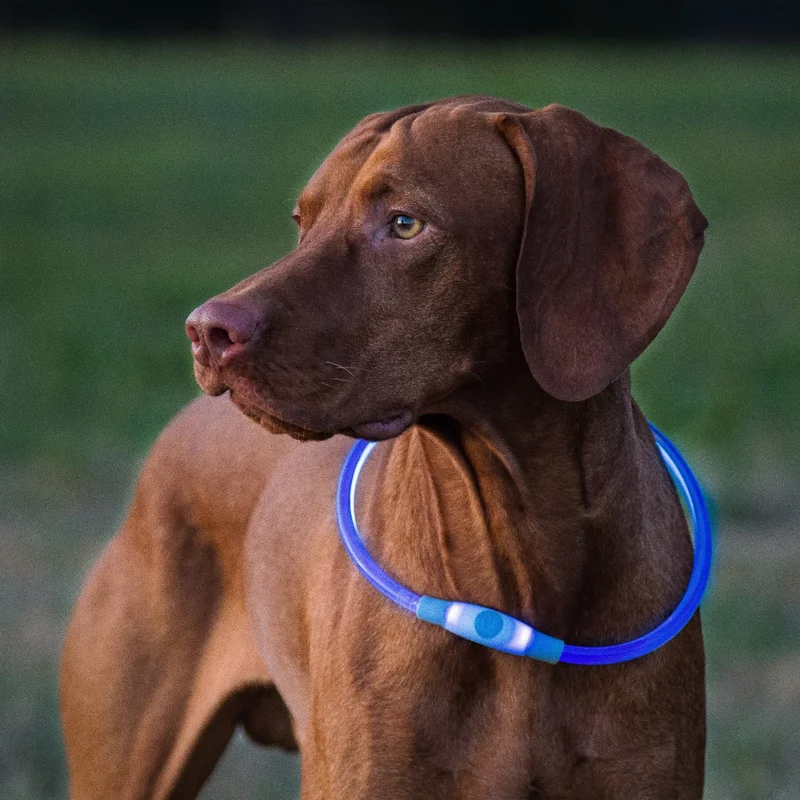 NiteHowl® LED Safety Necklace