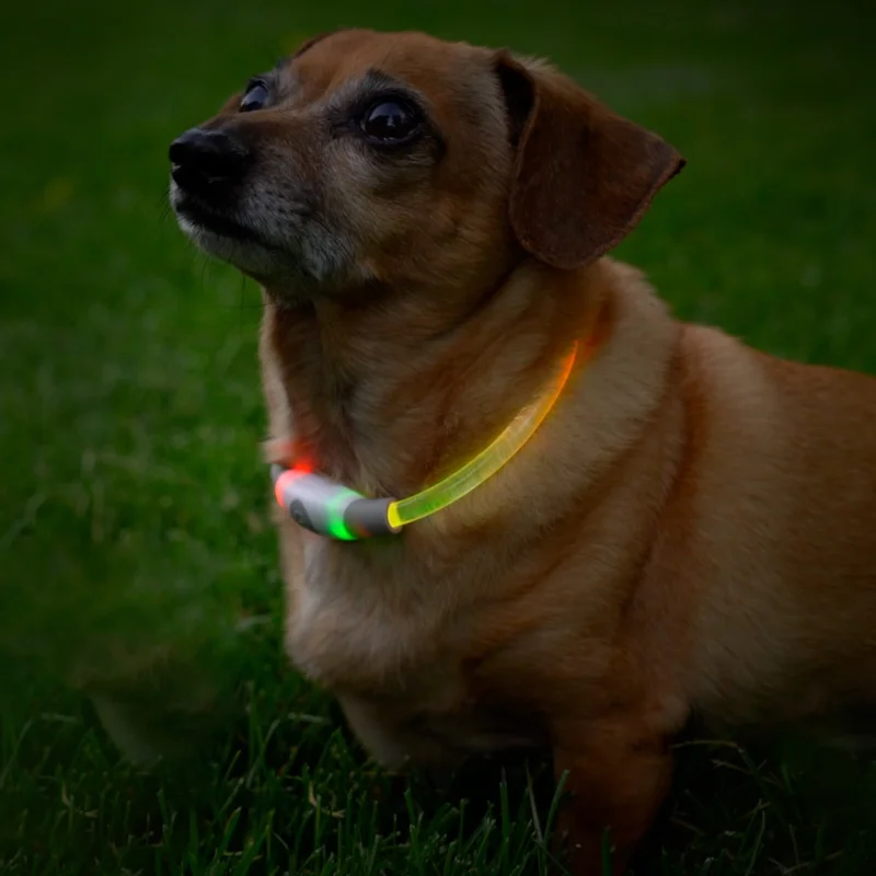 NiteHowl® Mini LED Safety Necklace – Disc-O Select™