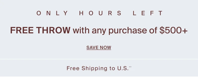 Today Only: Get a free throw with any purchase of $500 or more