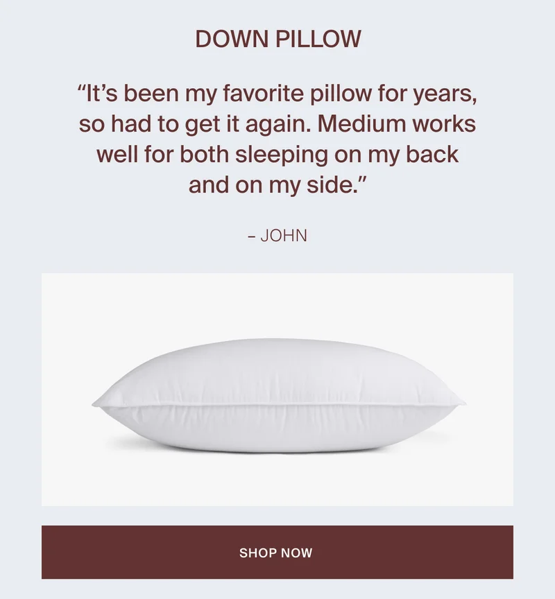 Save on Down Pillows