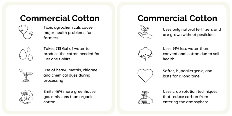 Conventional Cotton Vs. Organic Cotton