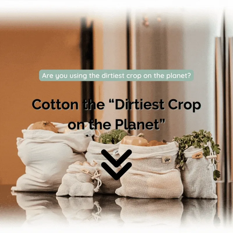 Eco-Collective Company