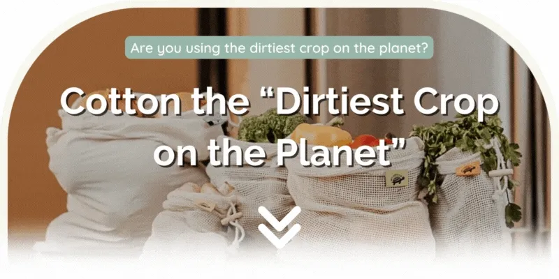 Eco-Collective Company