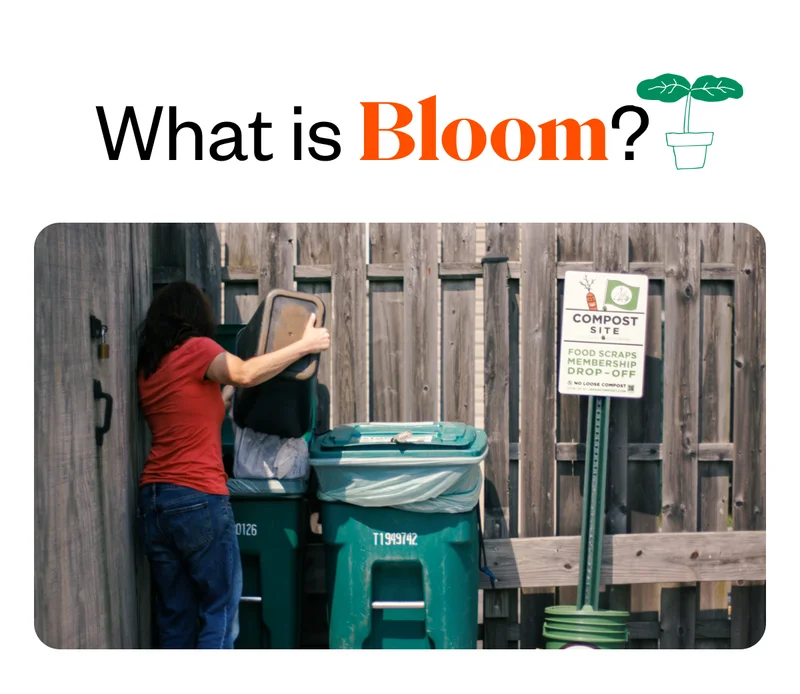 What is Bloom? What is Bloom?