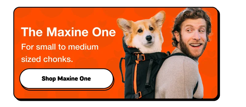 Maxine One