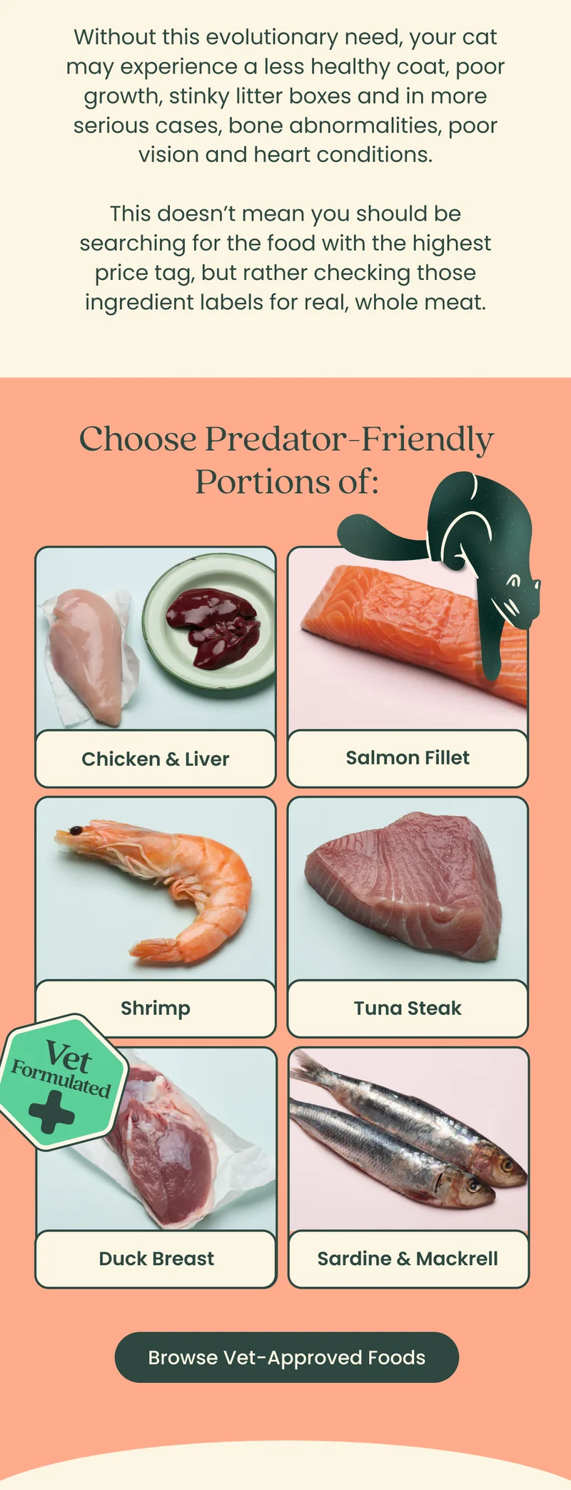 Browse Vet-Approved Foods