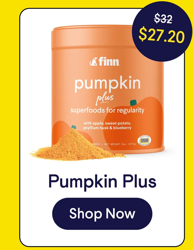 Pumpkin Plus