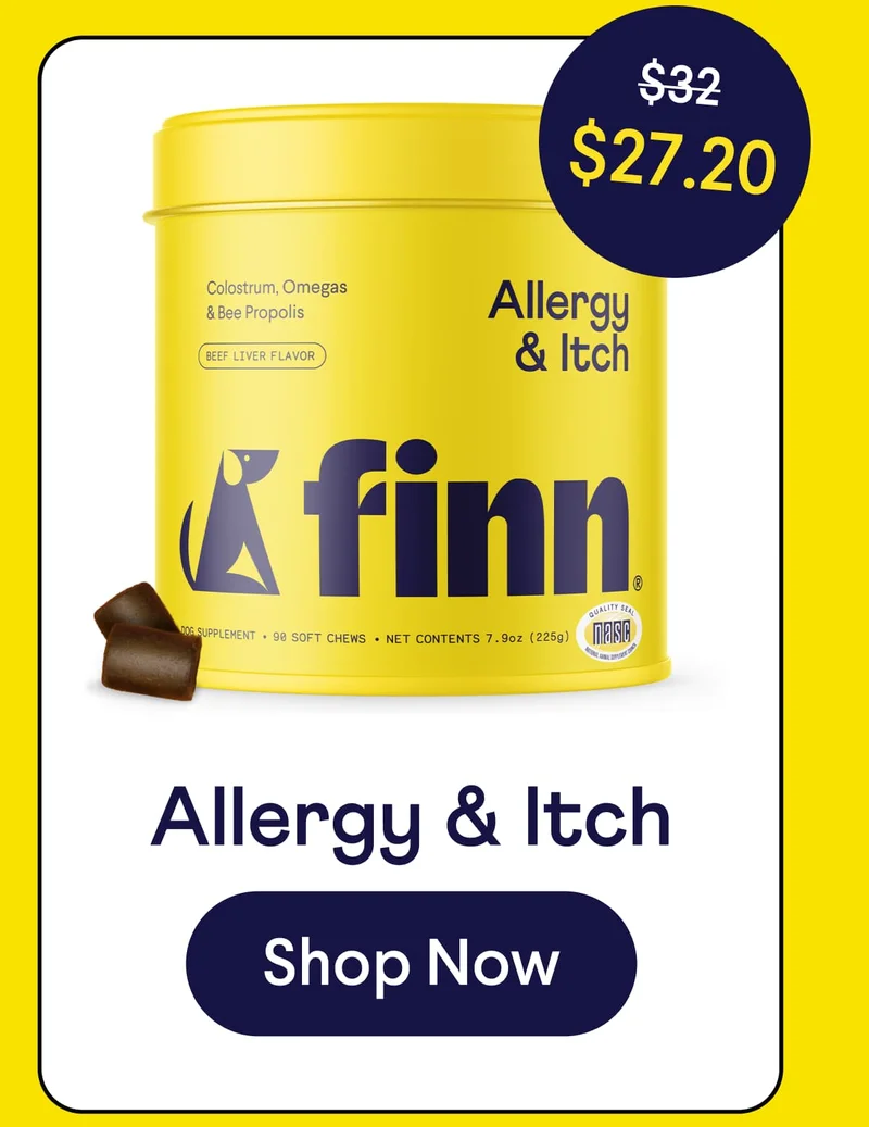 Allergy & Itch