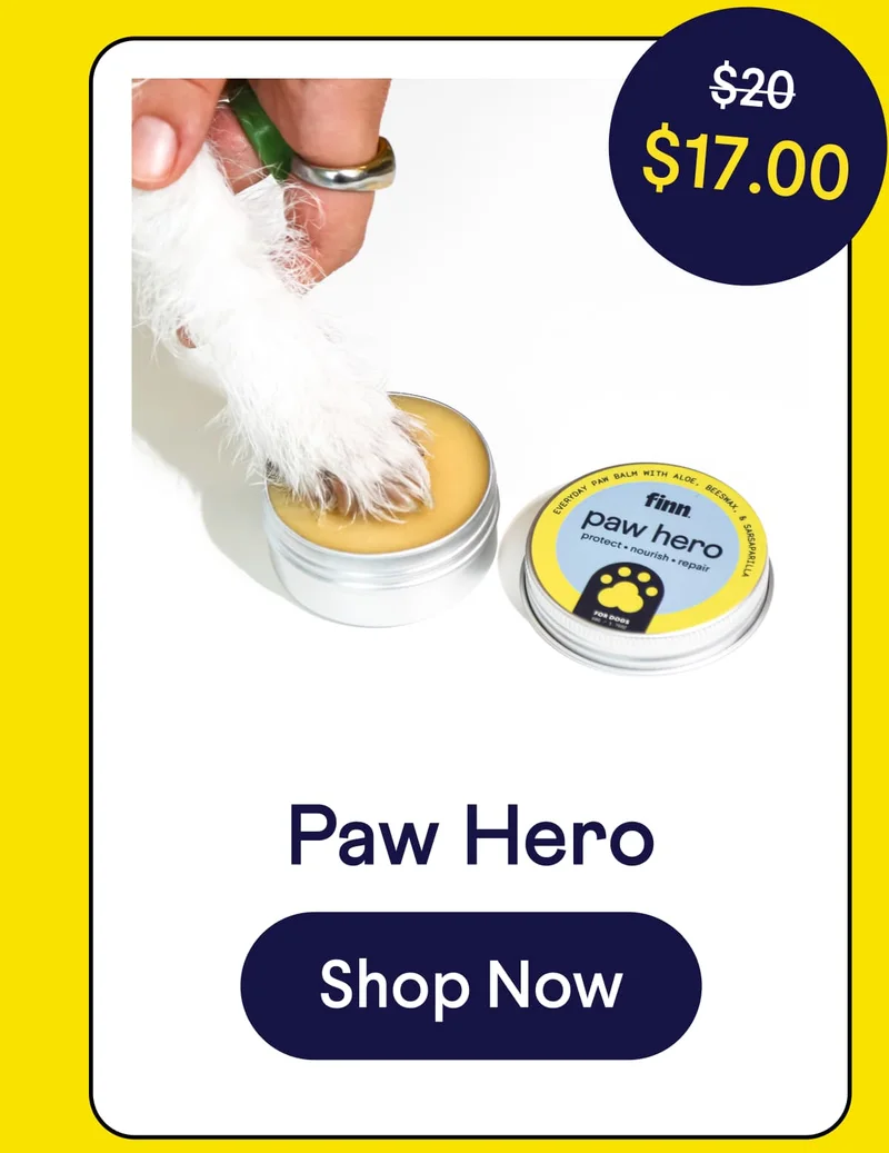 Paw Hero