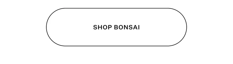 Shop Bonsai