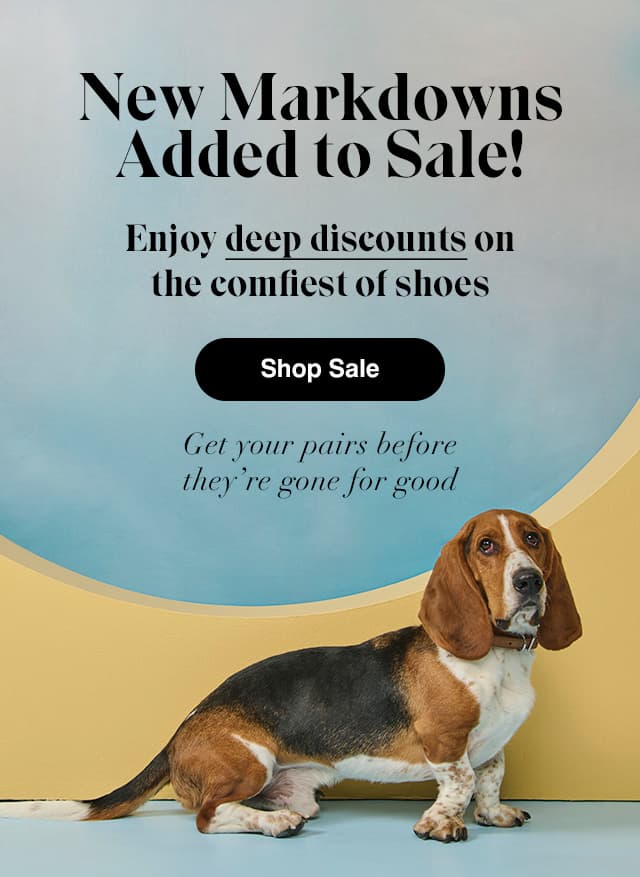 A light blue and yellow background with a real basset hound looking up. The email says New Markdowns Added to Sale! Enjoy deep discounts on the comfiest of shoes. Shop Sale