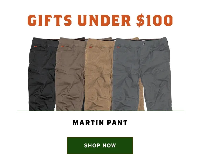 Gifts Under $100