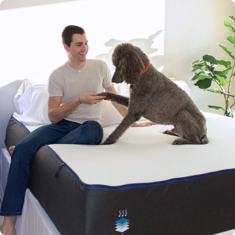 Nectar Mattress