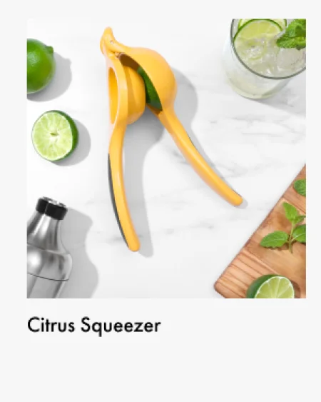 Citrus squeezer