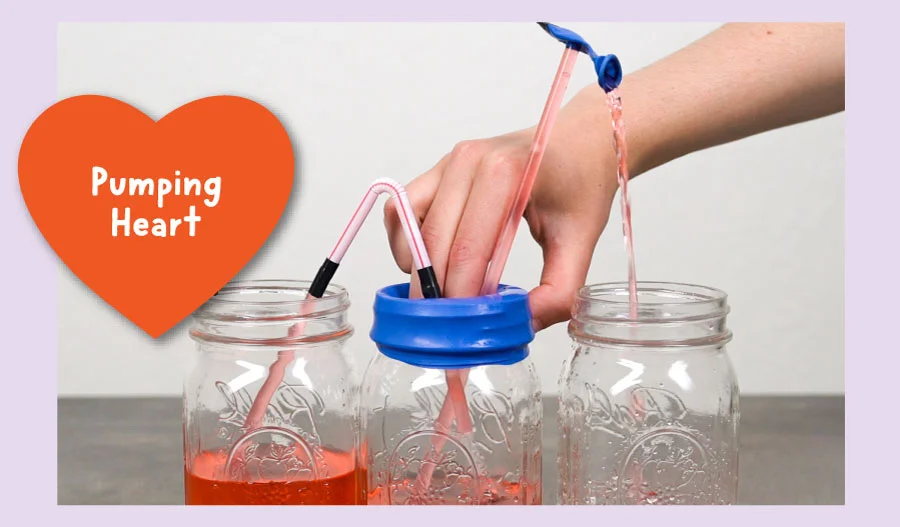 Pumping Heart