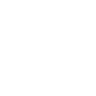display screen