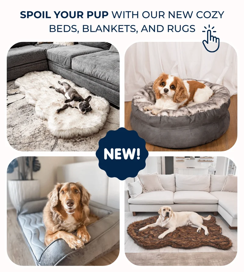 Blankets and Rugs