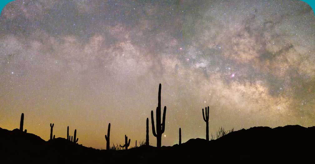 The night stars above saguaro cactus.