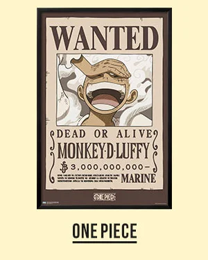 ONE PIECE