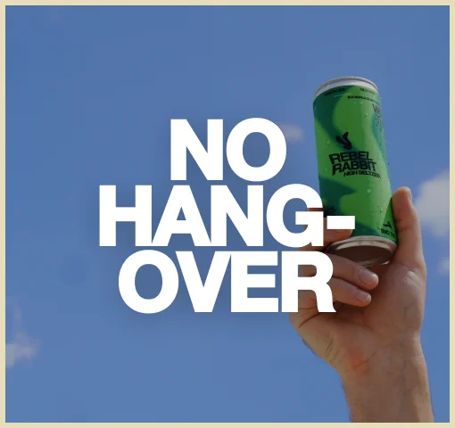 No Hangover