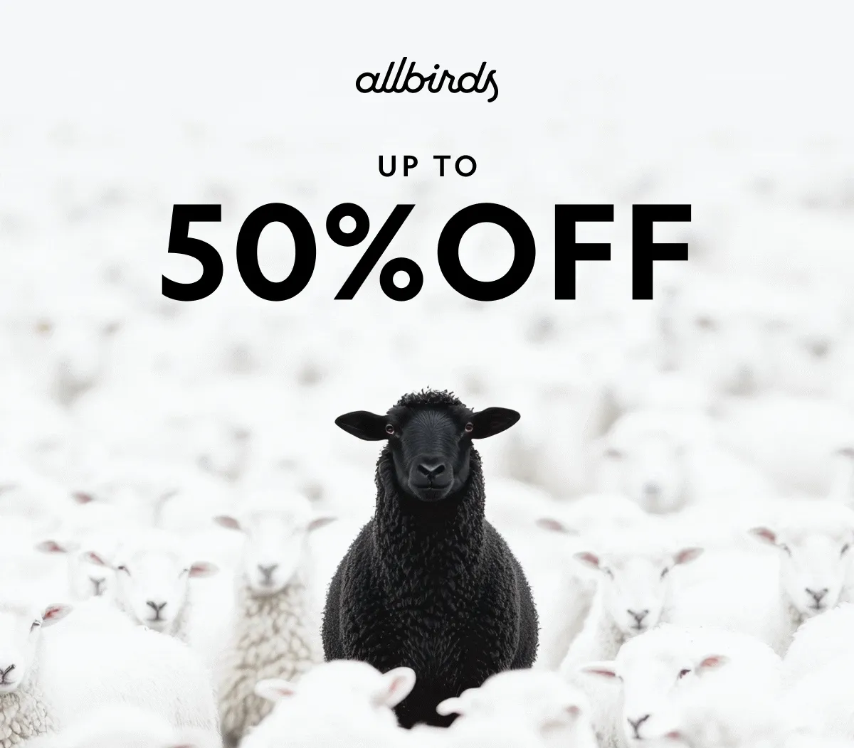 Cyber Monday Extended