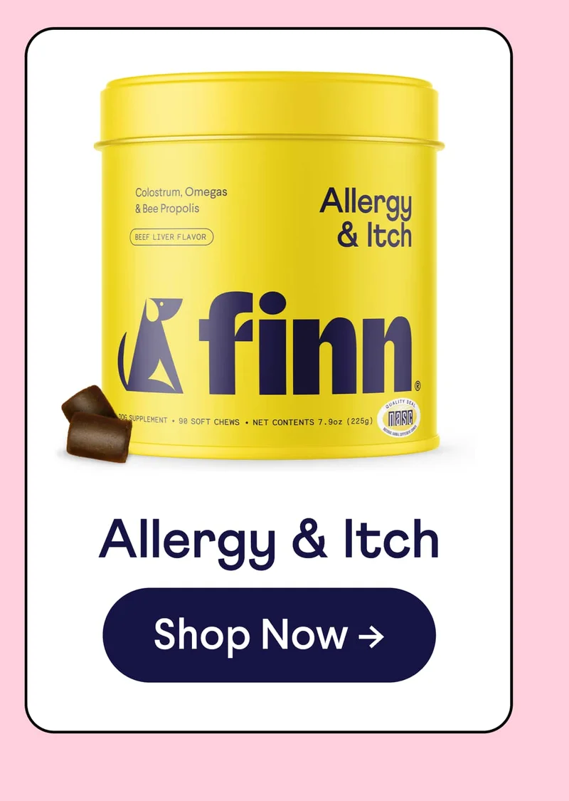Allergy & Itch