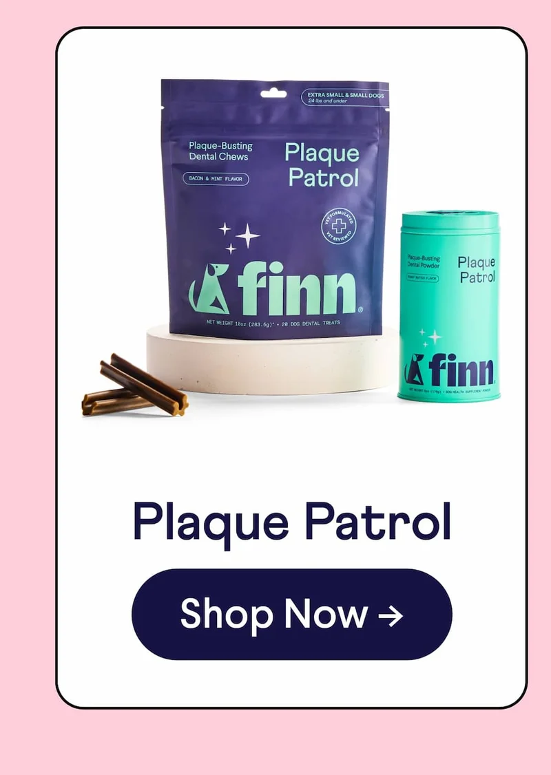 Plaque Patrol Bundle
