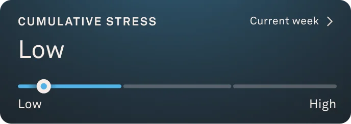 Cumulative Stress