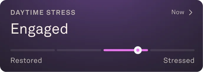 Daytime Stress