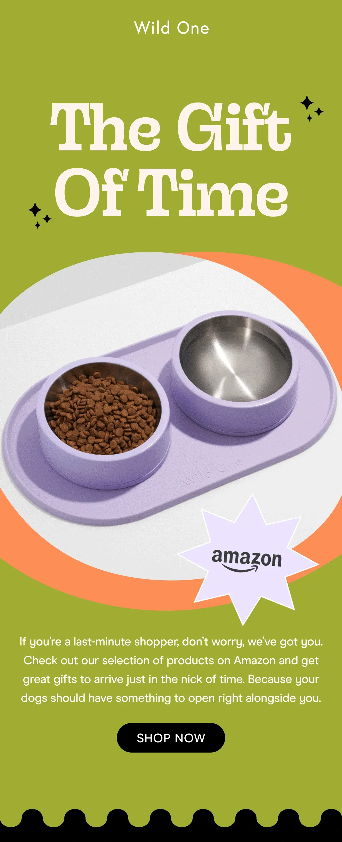 wild one amazon