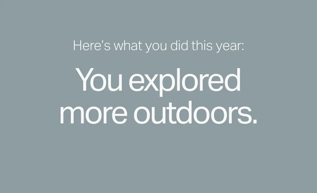 Here's what you did this year