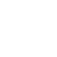 50 MP camera icon